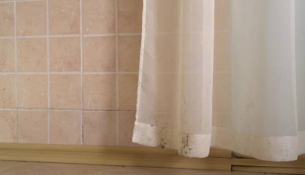 Atoka, OK Mold Removal Company